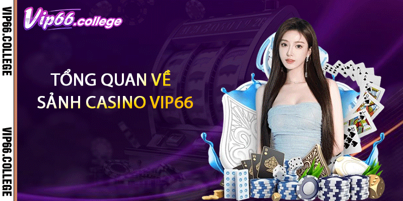 Tổng quan về sảnh casino VIP66