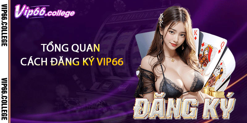 Tổng quan cách đăng ký VIP66