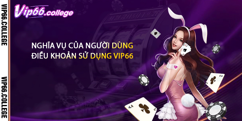 Nghĩa vụ của người dùng điều khoản sử dụng VIP66