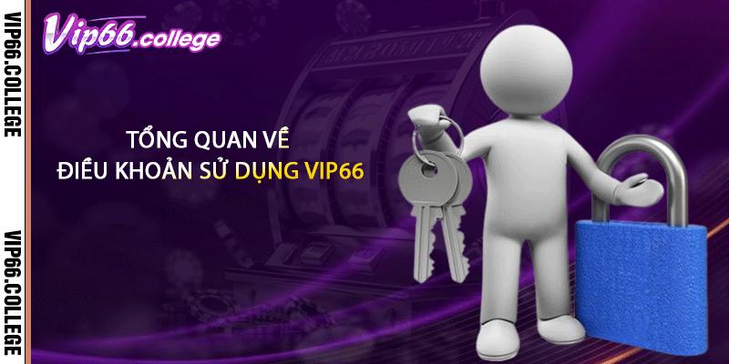 Tổng quan về điều khoản sử dụng VIP66