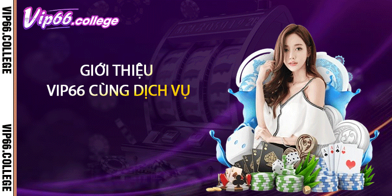 Giới thiệu VIP66 cùng dịch vụ