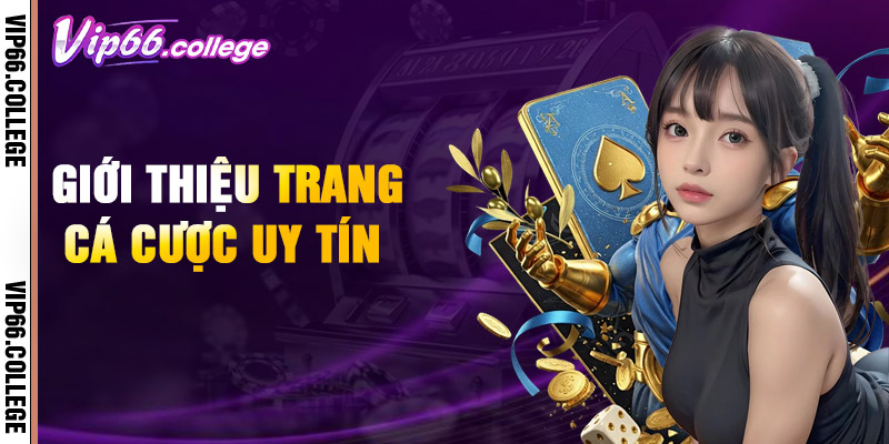 VIP66 - VIP66.com - Nhà Cái Cá Cược Hot Nhất Hiện Nay 17 Gioi Thieu Trang Ca Cuoc Uy Tin