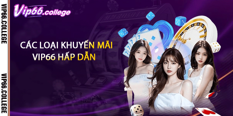Các loại khuyến mãi VIP66 hấp dẫn