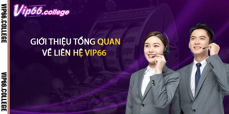Giới thiệu tổng quan về liên hệ VIP66