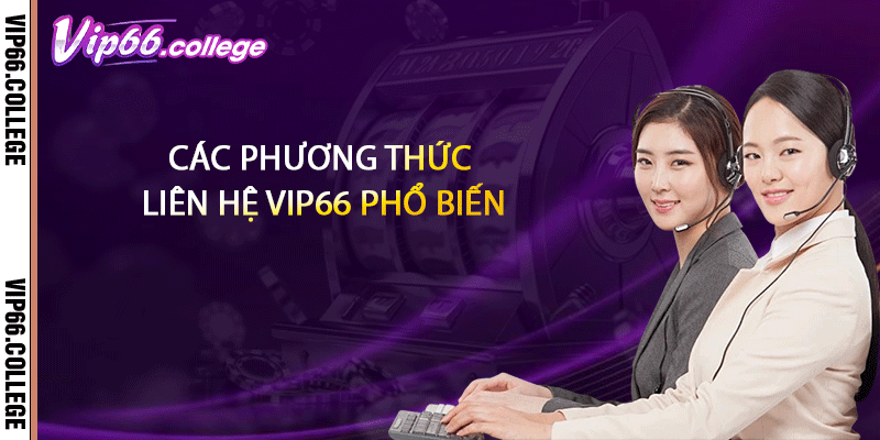 Các phương thức liên hệ VIP66 phổ biến
